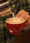 Specialty kava: vrhunska kvaliteta koju obožavaju pravi kavoljupci