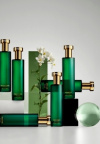 Hermetica parfemi koji čarobno mirišu i njeguju kožu