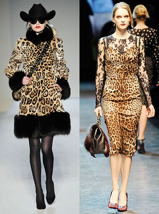Veliki povratak leopard-uzorka