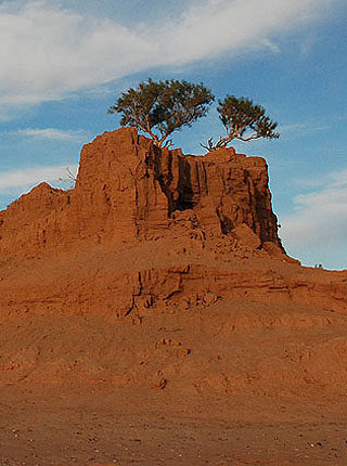 Mongolija - džipovima po pustinji Gobi