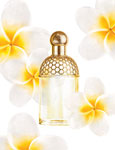 guerlain tiare mimosa