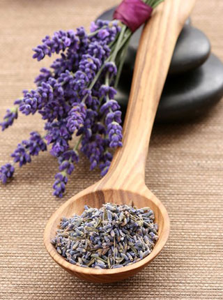 lavanda