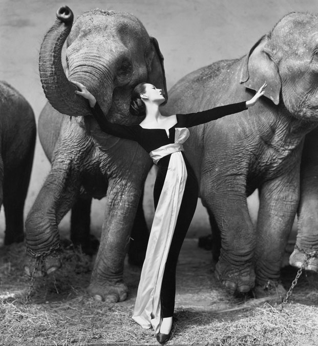 richard avedon za dior