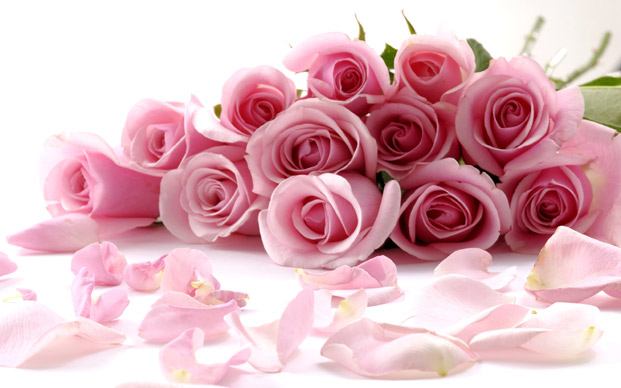 ružičaste ruže