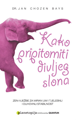 kako pripitomiti divljeg slona