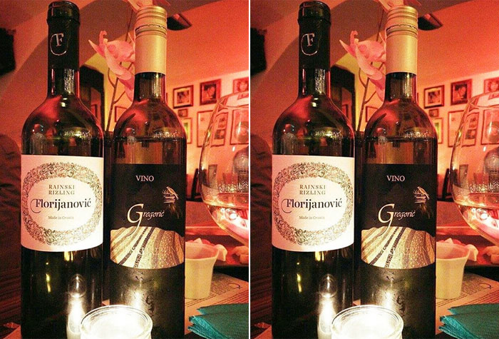 vina gregorić i vina florijanović