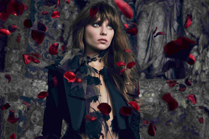 blumarine dangerose