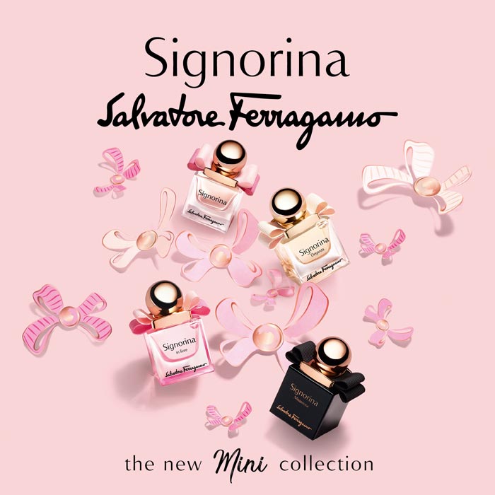 mini signorina