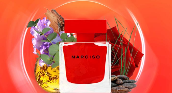 narciso rouge