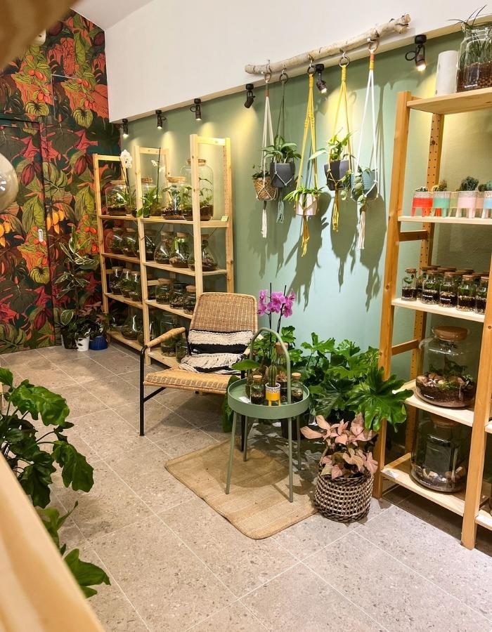 plant shop ilica