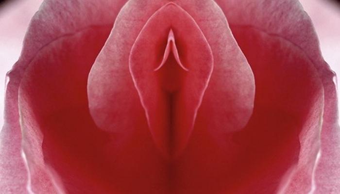 paula kolumna klitoris