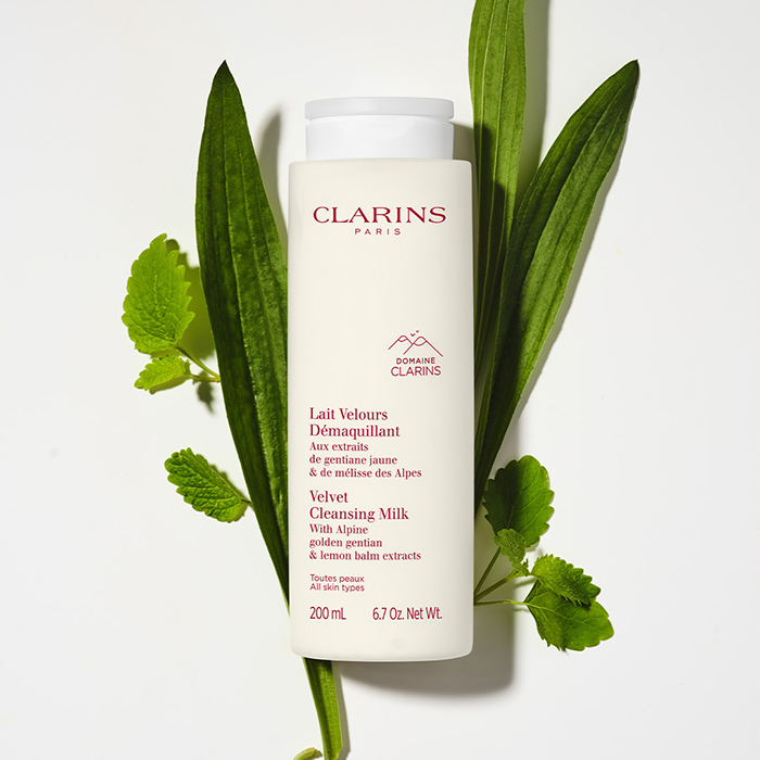 clarins čistači