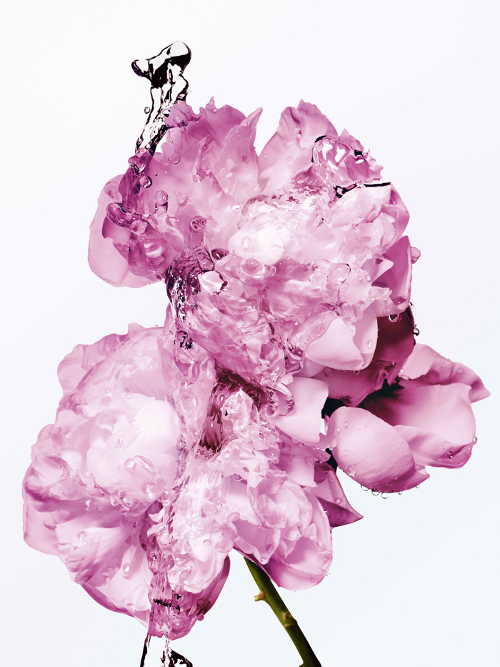 dior ljeto
