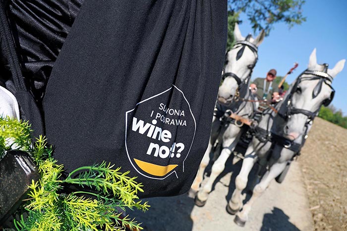 festival vina slavonija
