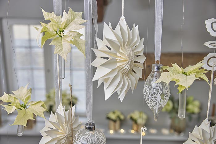 bozicna_zvijezda_cijela1