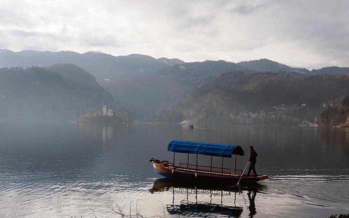 bled