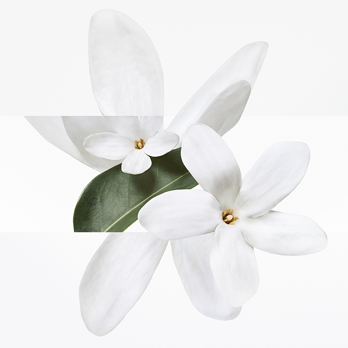 hermes_jardin_cijela2