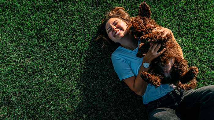 napustene_zivotinje_cijela