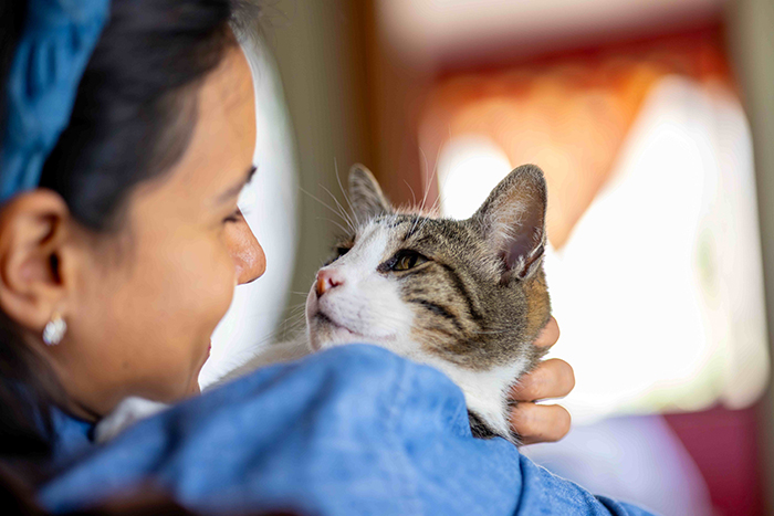 napustene_zivotinje_cijela3