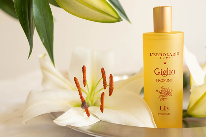 lerbolario giglio