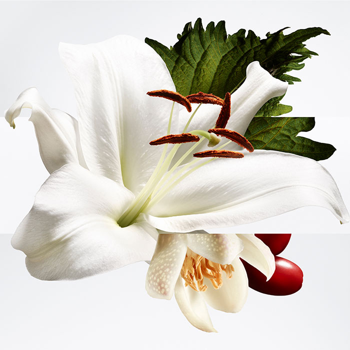 hermes barenia pleine fleur