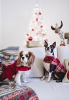 Preslatki božićni kaputići i kabanice za pse