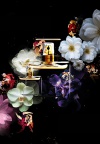 Eisenberg L'Art du Parfum: mirisna remek-djela s pričom