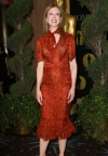 Jel' Nicole Kidman fulala haljinu?