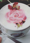 Rose Gold kava - u Zagrebu možete popiti prelijepu kavu ukrašenu ružicama