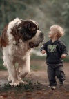Nemoguća slatkoća: mali klinci i njihovi ogromni psi