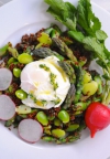 Osvježavajuća salata s kvinojom i šparogama