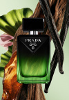 Svi pričaju o novom muškom Prada Paradigme Le Parfum mirisu