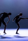Dance festival: Šibenik u srpnju postaje najljepša pozornica suvremenog plesa