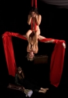 Žene u cirkusu ili ženski cirkus