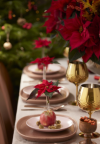 Savjeti i ideje za ukrašavanje stola božićnim zvijezdama