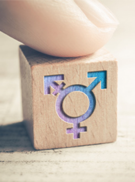 Rod, spol i seksualnost