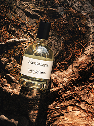 Wood.y2.lang: predivan proljetni miris koji spaja umjetnu inteligenciju i emociju