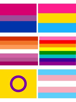 Queer seksualnosti i zastave