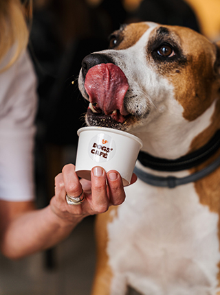 Raj za njuškice: Dogs’ Café stigao u Split!