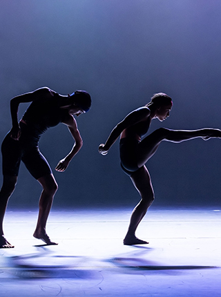 Dance festival: Šibenik u srpnju postaje najljepša pozornica suvremenog plesa